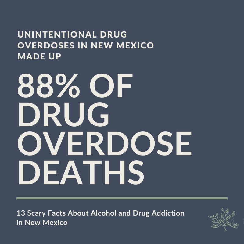 88% of Drug Overdose Deaths 