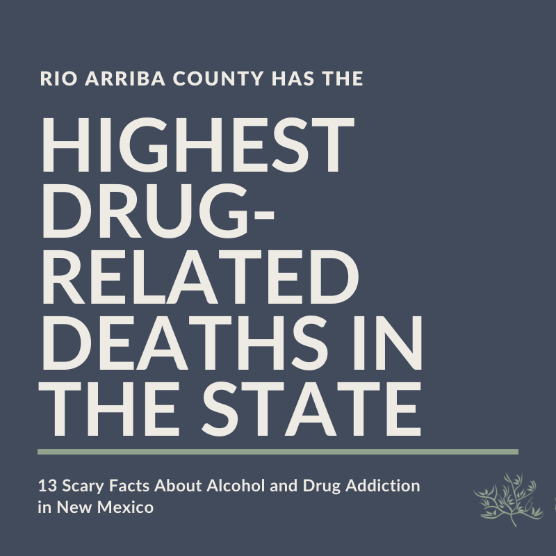Highest Drug-Related Deaths in the State 